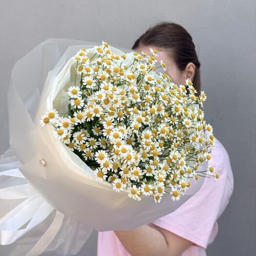 Летний букет ромашек