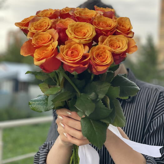 15 роз «Эспания» под ленту