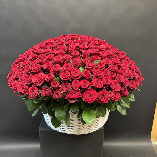 Огромная корзина из 301 розы