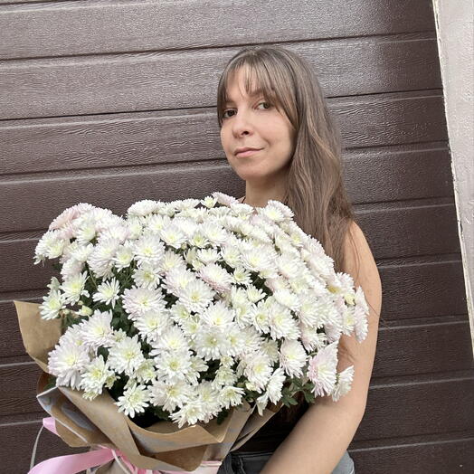 Цветок в горшке (комнатное растение) «Хризантемы»