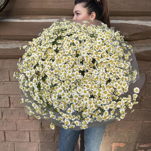 Большой букет кустовых ромашек 35 шт 💔