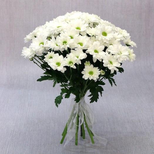 Chrysanthemums