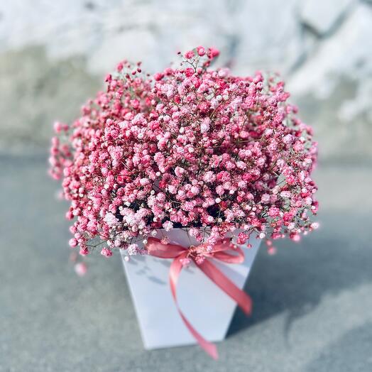 Pink gypsophila in a box