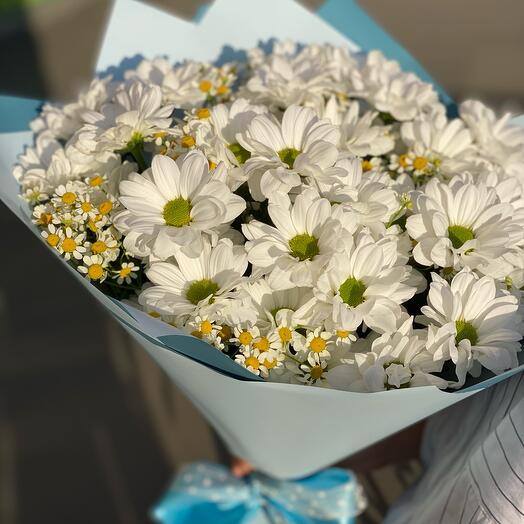 Mix of daisies