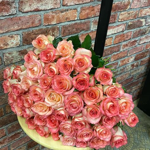 Rose Jamila 35 pcs
