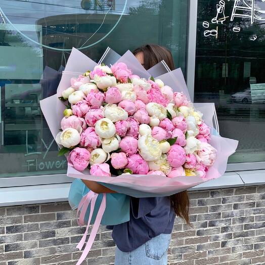 Пиономания🍯💐