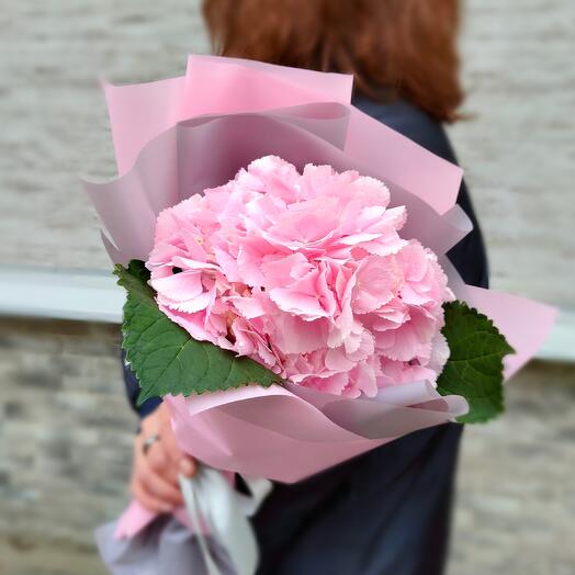 Hortensia rosa, monobooket