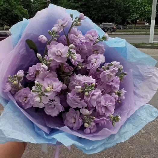 Моно из лавандовой маттиолы