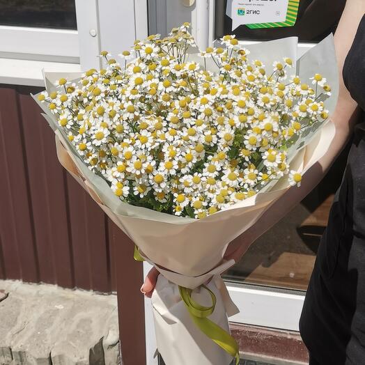 Букет ромашки 🌼