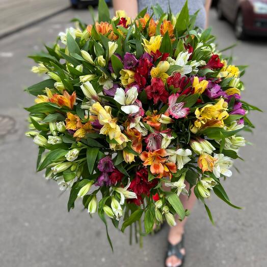 51 Alstroemeria mix