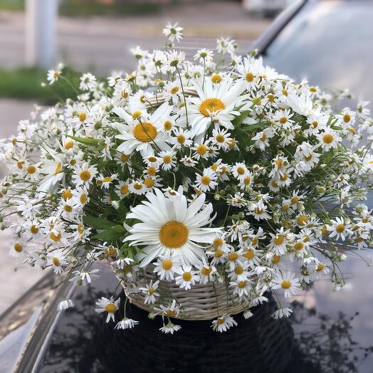 Корзинка из лета