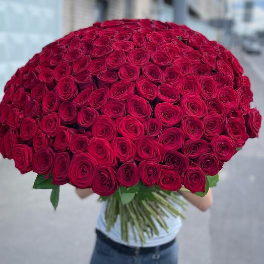 101 rosa