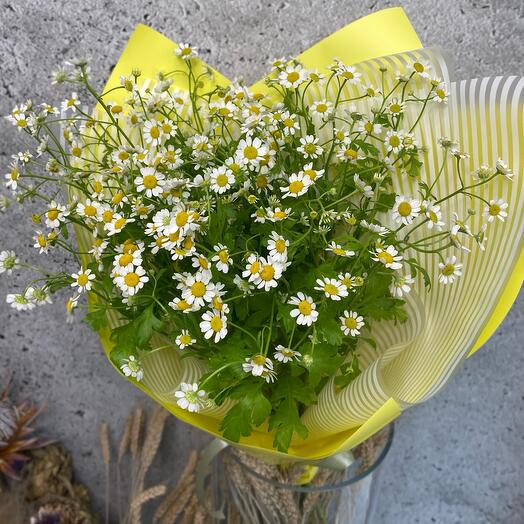 Field daisies