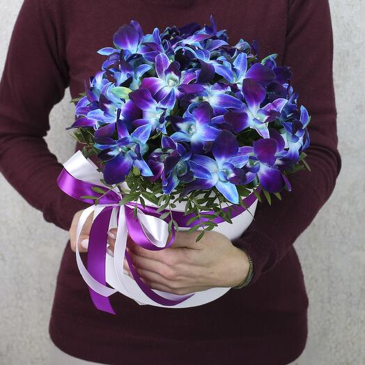 Blue orchids in a white box "Grand Lapis Lazuli"