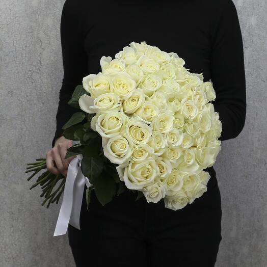 51 white Avalanche roses 50 cm