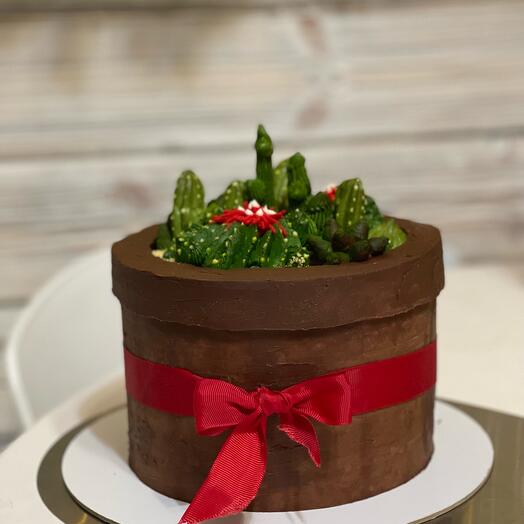 Cake "pot with cacti"