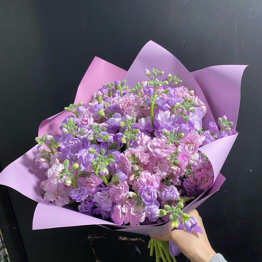 Кустовая Матиолла 19
