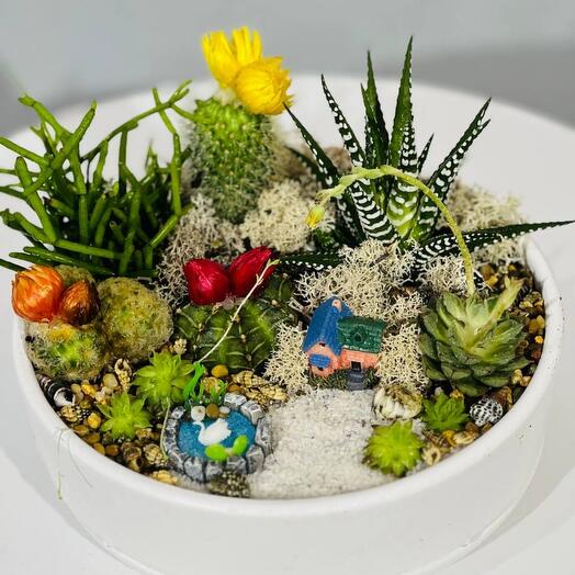 Arreglo de mesa de plantas de interior en macetas