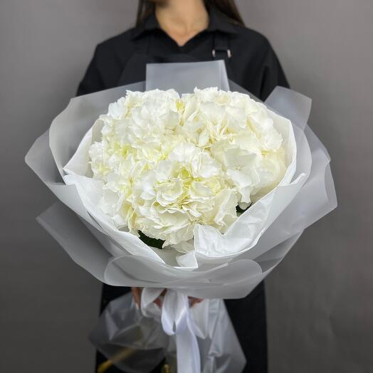 Mono bouquet 170 из белых гортензий