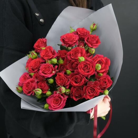 5 arbustos de rosas rojas