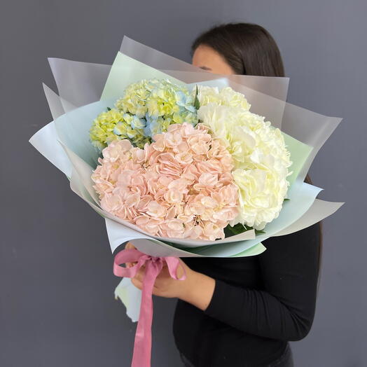 3 colorful hydrangeas