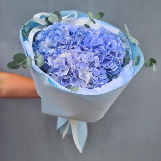 Bouquet of Blue Hydrangeas