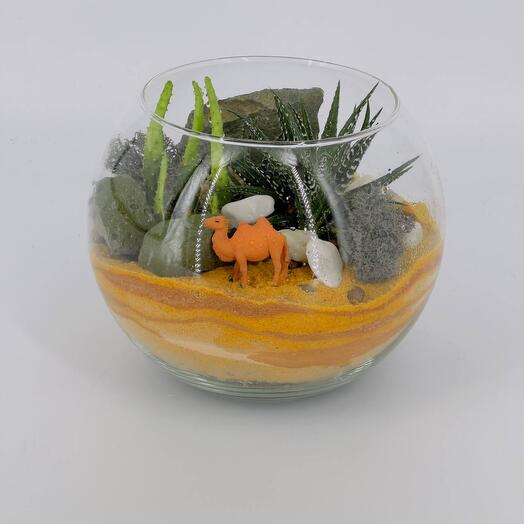 Florarium Egypt with camel and cacti