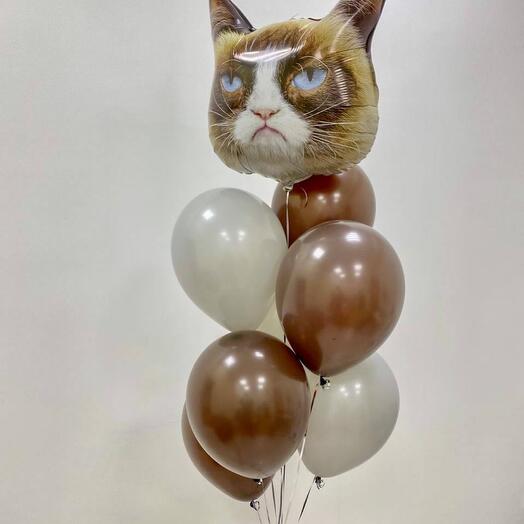 Набор «Злой кот»