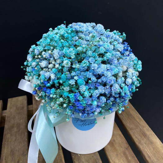 Flowers in a box/gypsophila blue
