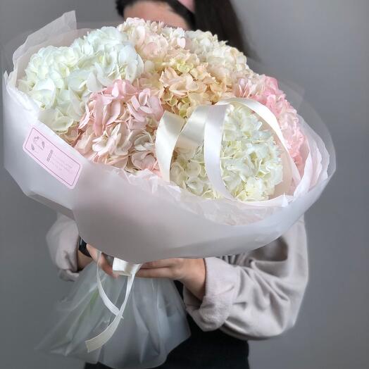 Hydrangea 7 pieces