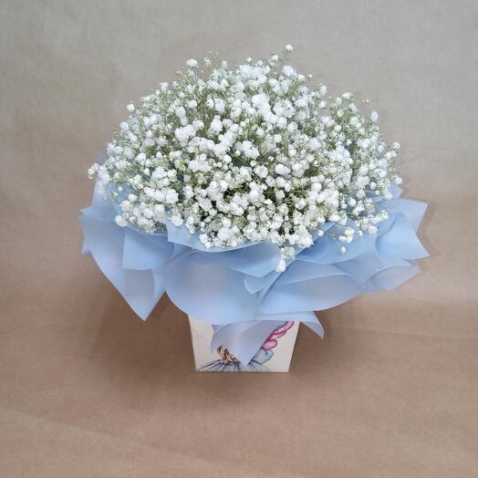 Composition of Gypsophila