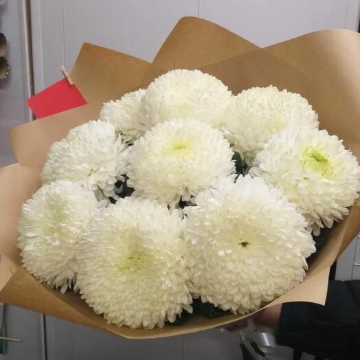 9 chrysanthemums