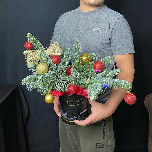 Новогодние композицийй