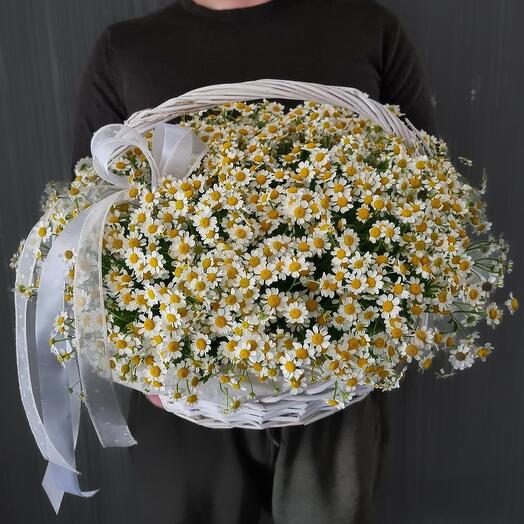 Корзина с ромашками