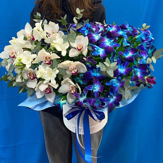 Bouquet of orchids size L