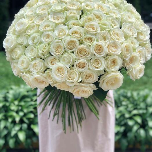 Bouquet of 201 White Roses