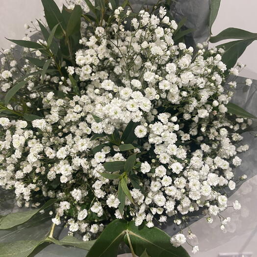 Gypsophila Bouquet