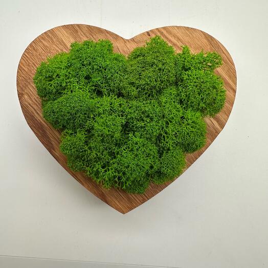 Corazón de madera con musgo estabilizado