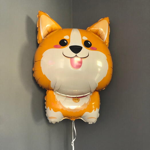 Шар «Корги» 55 см