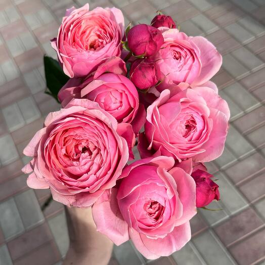 Мега-объемная кустовая роза Silver Pink 50 см