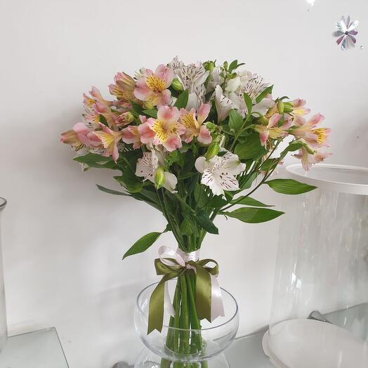 Альстромерия