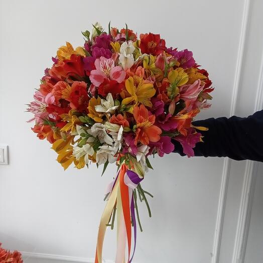 Alstroemeria 21pcs sin embalaje