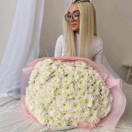 Ромашковый гигант