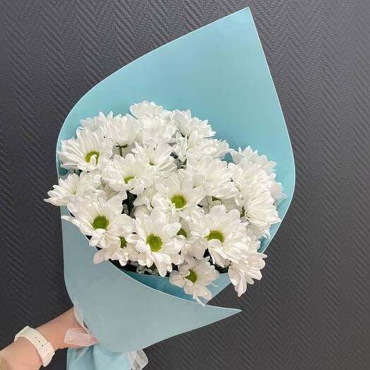 Хризантема кустовая Ромашки 🌸