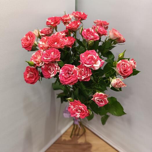 Bouquet of red and white bush roses 5 pcs. Holland, bouquet of red and white bush roses, Fireworks varieties