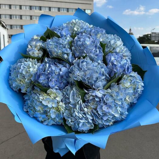 BOUQUET OF 15 BLUE HYDRANGEAS