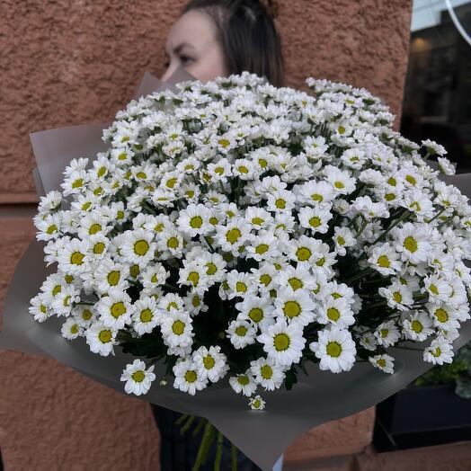 Букет из кустовых ромашек (хризантем) в лаконичной упаковкк
