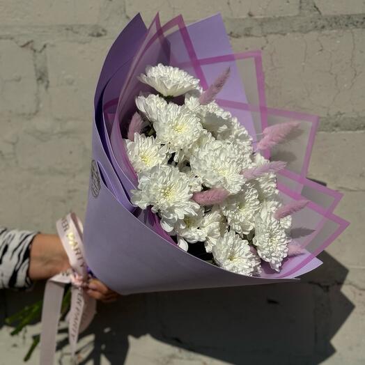 Хризантема кустовая с лагурусом