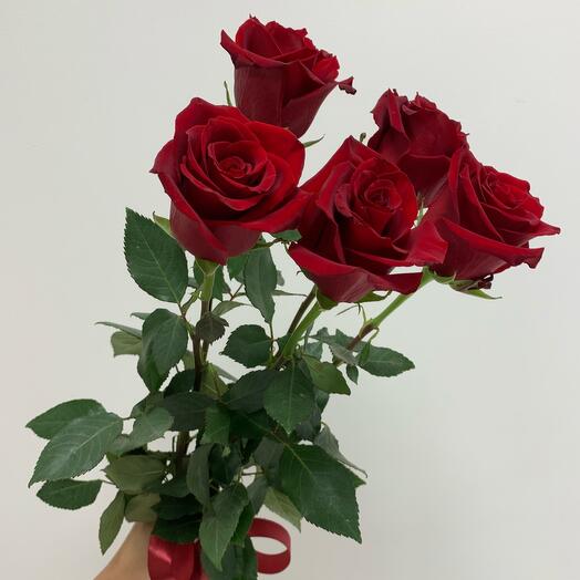 Rosas rojas