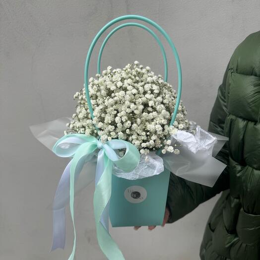 Gypsophila in her purse
